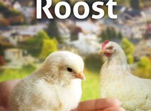 Best Backyard Chickens